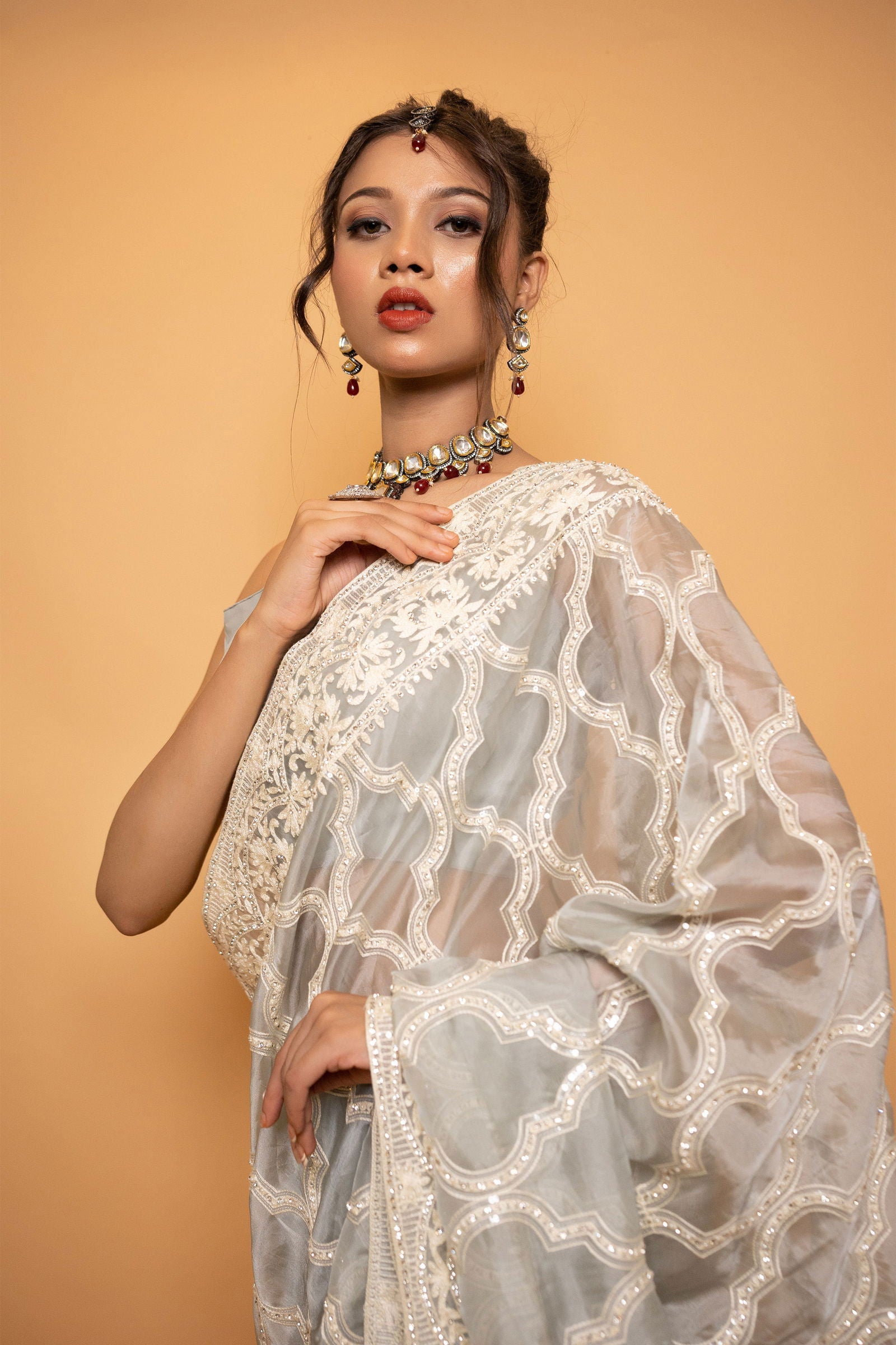 Grey Organza Saree With Swarovski Threadwork with Stitched Blouse - Mayrake.in