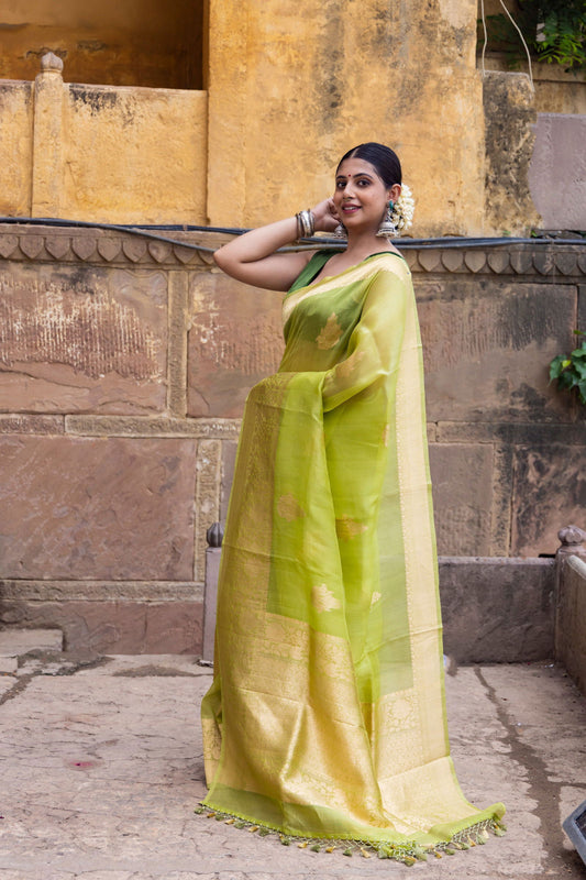 Handloom Parrot Green Pure Kora Organza Banarasi Saree - Mayrake.in