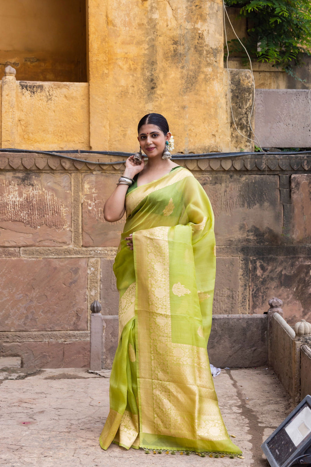 Handloom Parrot Green Pure Kora Organza Banarasi Saree - Mayrake.in
