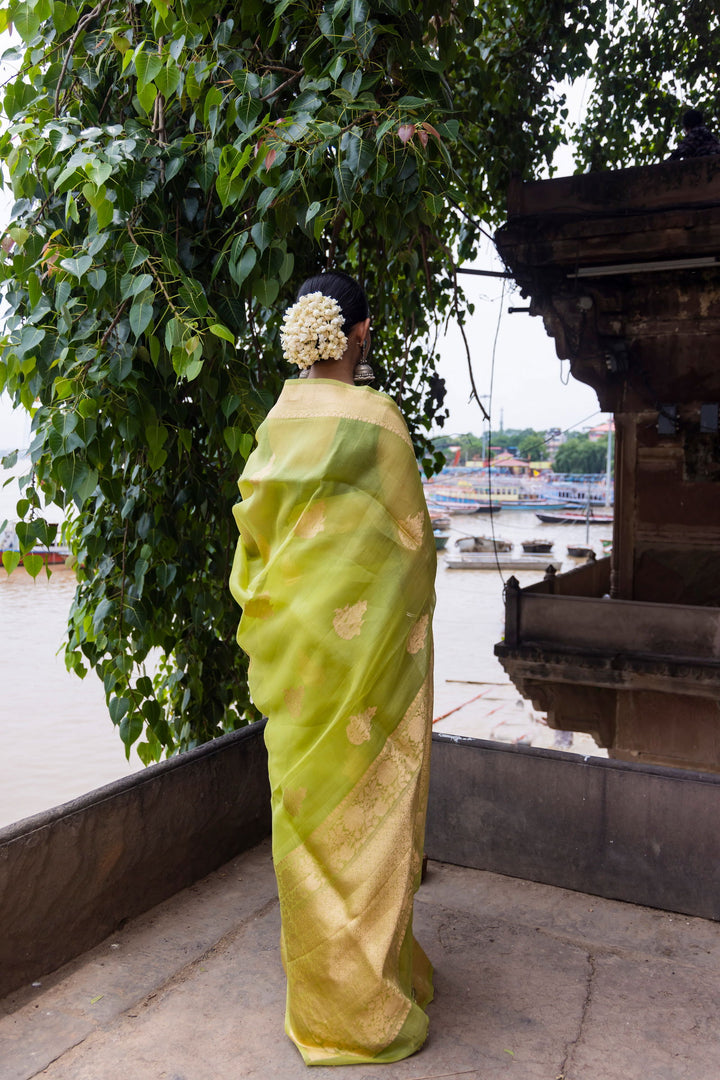 Handloom Parrot Green Pure Kora Organza Banarsi Saree - Mayrake