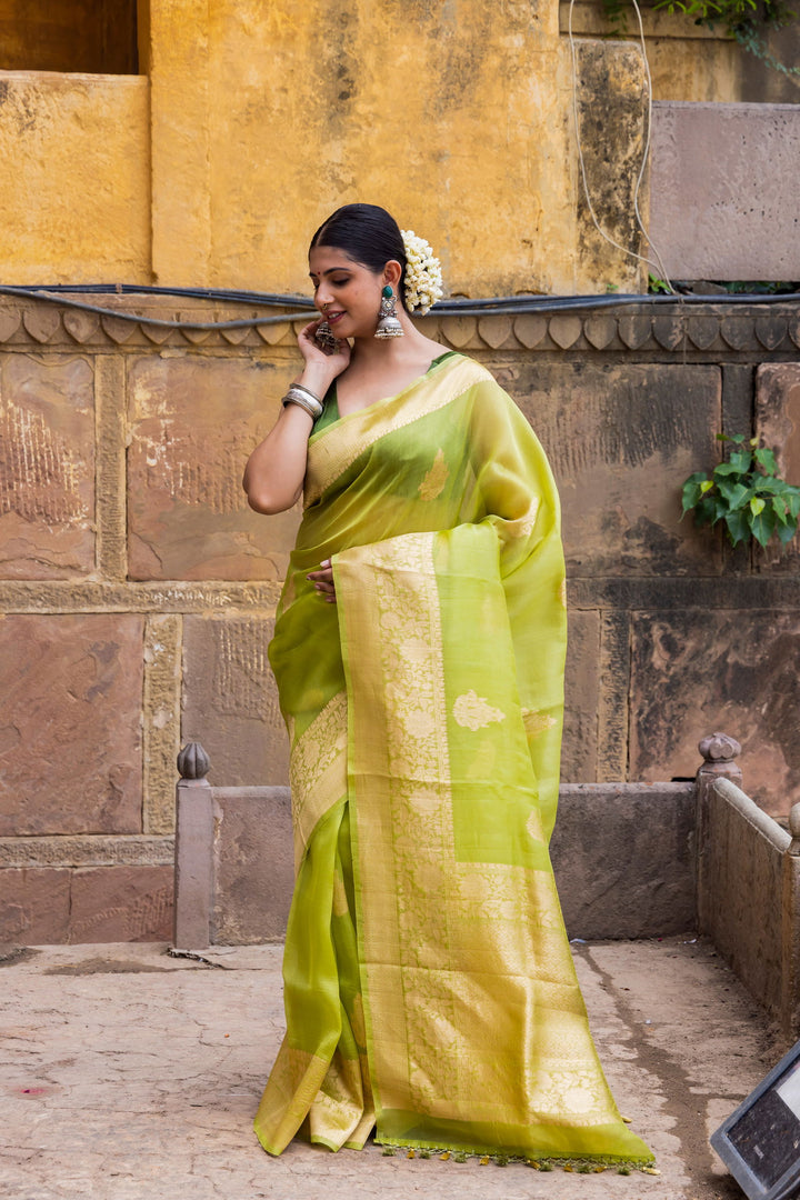 Handloom Parrot Green Pure Kora Organza Banarsi Saree - Mayrake