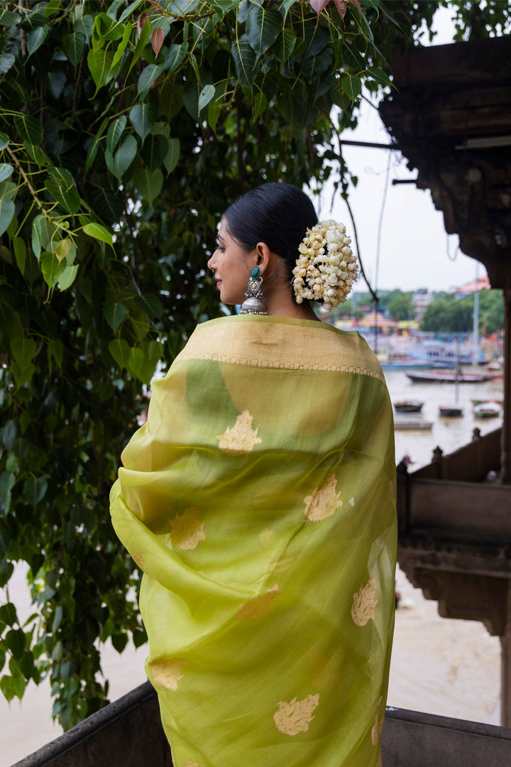 Handloom Parrot Green Pure Kora Organza Banarsi Saree - Mayrake