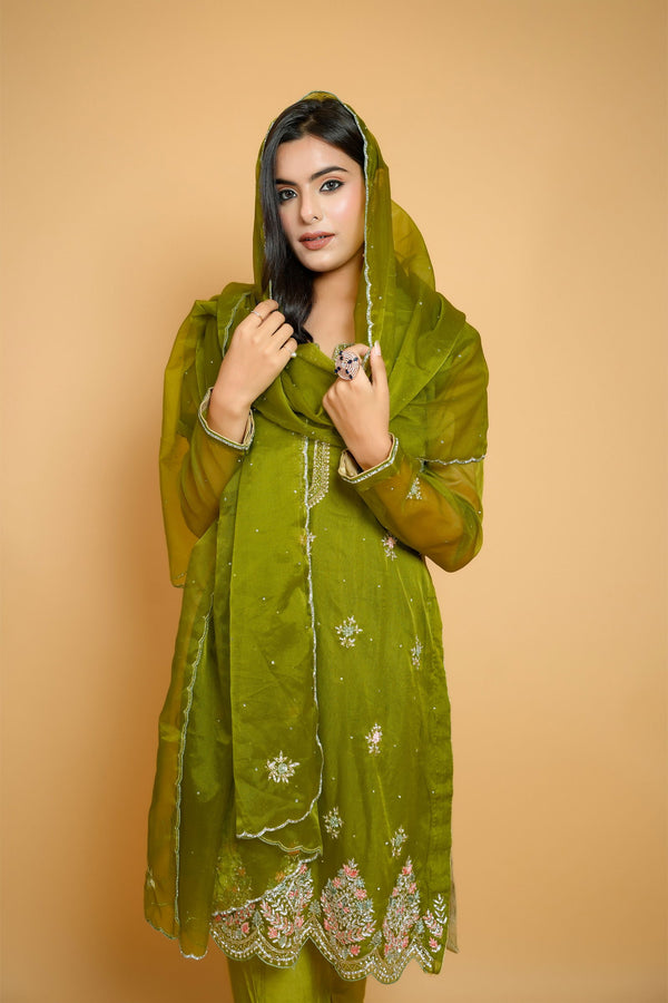 Handwork Lime Green Multi-Thread Stone Work Organza Suit with Solid Pant and Dupatta - Mayrake