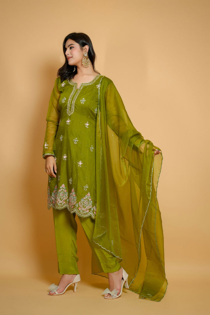 Handwork Lime Green Multi-Thread Stone Work Organza Suit with Solid Pant and Dupatta - Mayrake